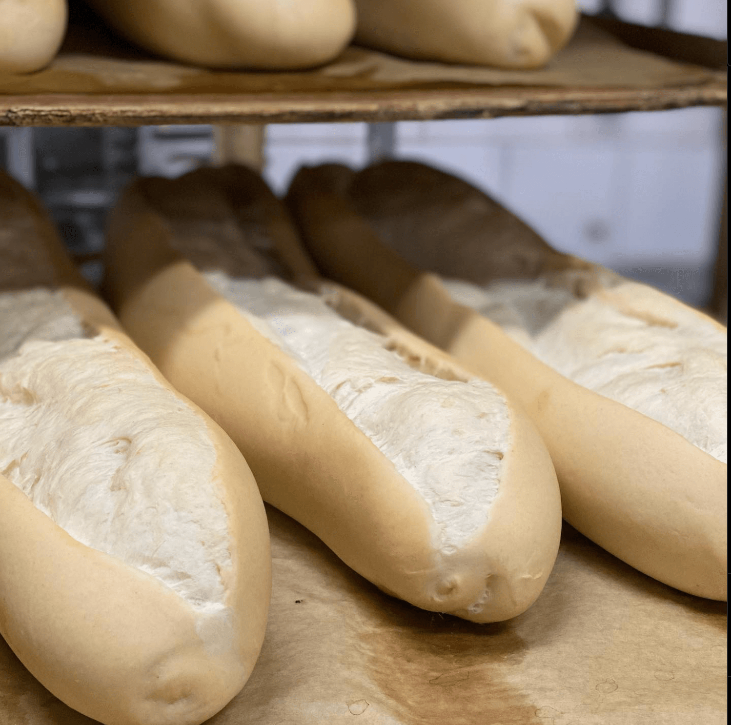 Fresh Cuban Bread